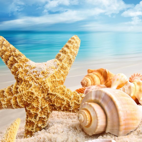 Meet your Posher, Erika - Picture 2 of 6